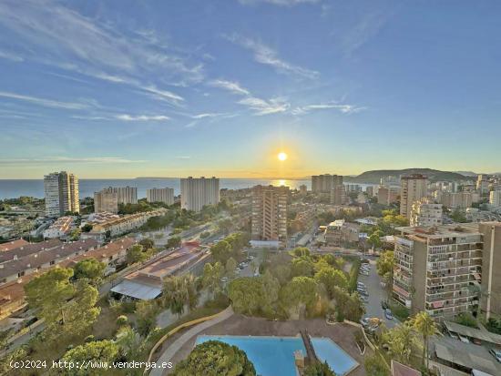  Apartamento en la Urbanización Maran, en Cabo Huertas (Alicante) - ALICANTE 