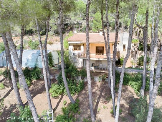 Se Vende en Muro de Alcoy - ALICANTE