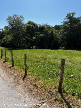 Cabaña de Piedra en Argomeda - Un Refugio de Paz y Naturaleza - CANTABRIA