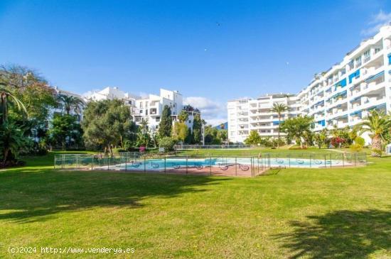 Coqueto piso en alquiler temporal en el corazón de Puerto Banús - MALAGA