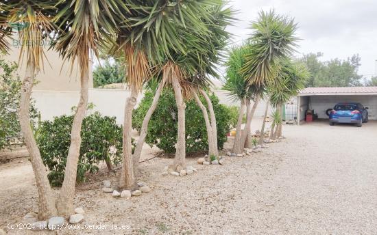 ESPECTACULARA CASA DE CAMPO EN EL PARETÓN-TOTANA - MURCIA