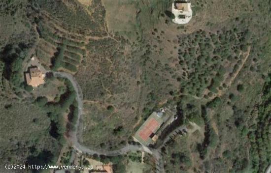 PARCELA DE TERRENO DE OLIVAR EN VALTOCADO EN MIJAS CON VISTAS INMEJORABLES - MALAGA