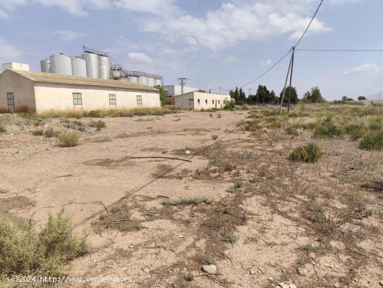  Parcelas con Cebaderos - Totana - MURCIA 