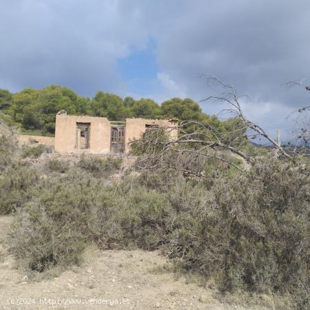 Terreno Vallado - Los Mortolitos, Totana - MURCIA