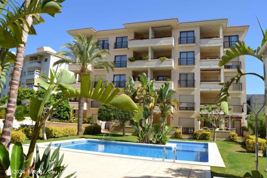  Céntrico apartamento disponible para alquiler de larga temporada desde Octubre. - ALICANTE 