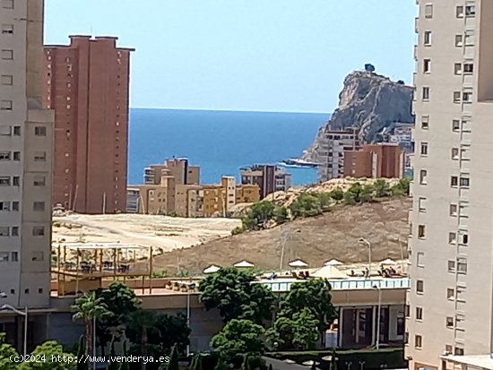 Apartamento en Venta en Benidorm Alicante