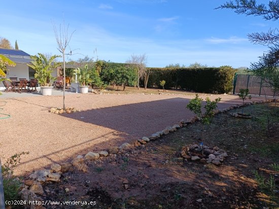 Casa de campo-Masía de Obra Nueva en Alquiler en Alcudia Baleares