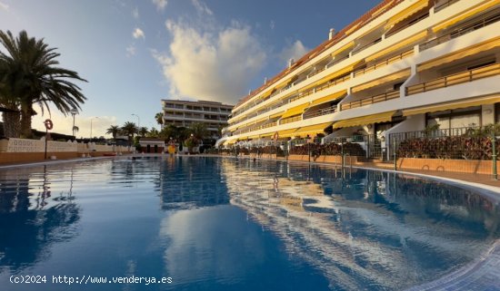 Apartamento en Venta en Guia De Isora Santa Cruz de Tenerife