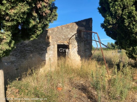 Finca con caseta de campo muy cerca del pueblo