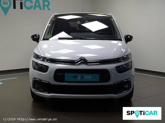 Citroën C4 Spacetourer  PureTech 96KW (130CV) S&S Rip Curl - Barakaldo