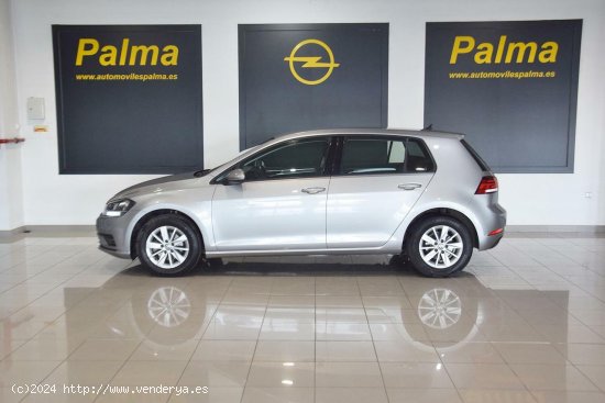 Volkswagen Golf EDITION 1.0TSI 115cv - Paterna