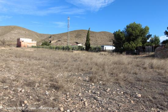 Terreno urbanizable en Hondón de los Frailes - ALICANTE