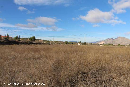 TERRENO RUSTICO EN HONDON DE LOS FRAILES - ALICANTE