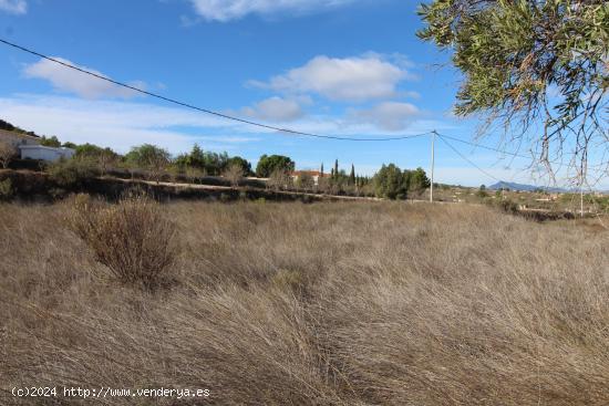 TERRENO RUSTICO EN HONDON DE LOS FRAILES - ALICANTE