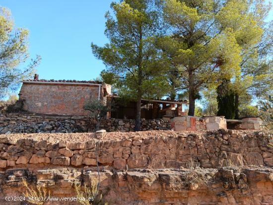  OCASION FINCA RUSTICA EN ASCO CON MASIA - TARRAGONA 