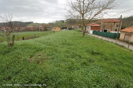 Terreno urbano en Beranga - CANTABRIA