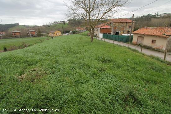 Terreno urbano en Beranga - CANTABRIA