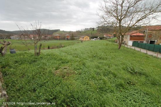 Terreno urbano en Beranga - CANTABRIA