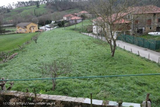 Terreno urbano en Beranga - CANTABRIA