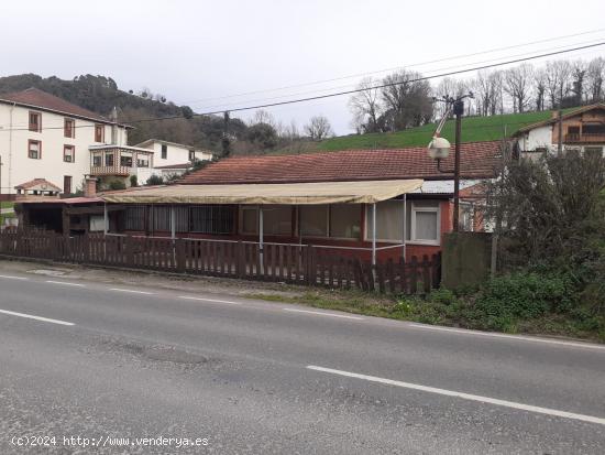  TERRENO CON EDIFICIO EN EL VALLE DE CARRANZA (BIZKAIA) - VIZCAYA 