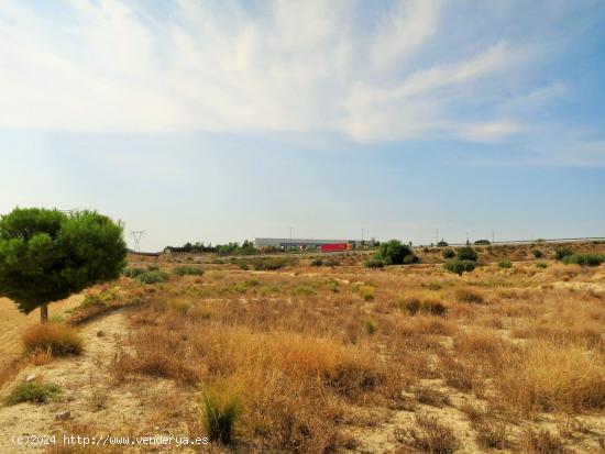 PARCELA AL LADO DE LA AUTOVIA - ALICANTE