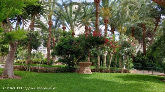 Precioso estudio en playa Levante , Benidorm! - ALICANTE