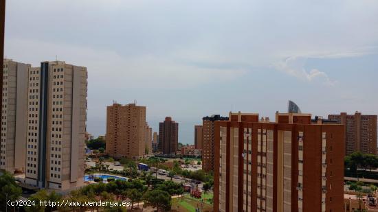 Amplio reformado piso con vistas panorámicas en zona Poniente. - ALICANTE