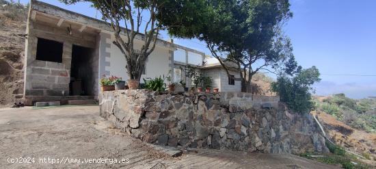 Se Vende en Santa Maria de Guia - LAS PALMAS