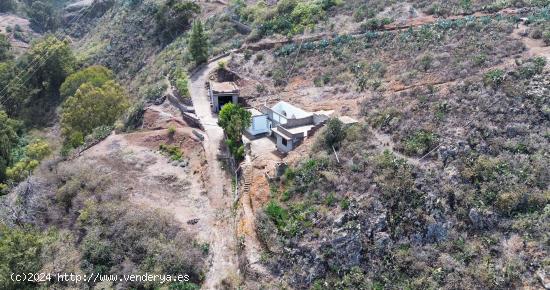 Se Vende en Santa Maria de Guia - LAS PALMAS