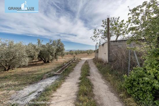 MAGNÍFICA PARCELA CERCANA A CTRA. DE URB. EL TORREÓN - GRANADA