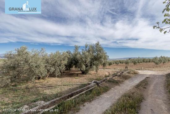 MAGNÍFICA PARCELA CERCANA A CTRA. DE URB. EL TORREÓN - GRANADA