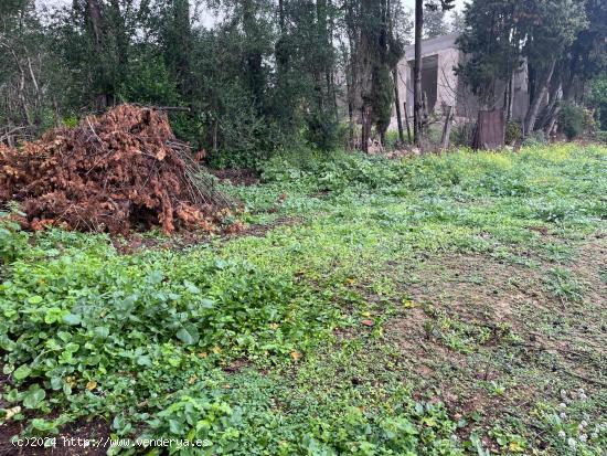 SE VENDE PARCELA URBANIZABLE EN EL POBLADO DE DOÑA BLANCA - CADIZ