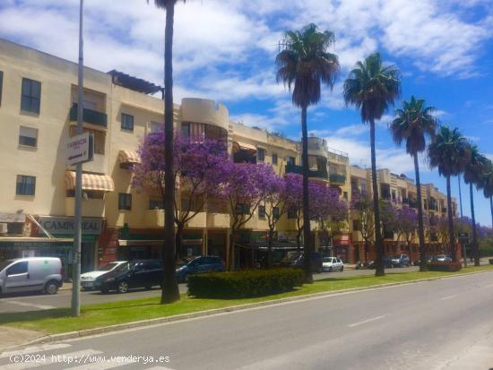  ESTUPENDO PISO BAJO CON PATIO DE 25 METROS EN AVDA.PUERTA DEL SUR AMPLIO Y LUMINOSO - CADIZ 