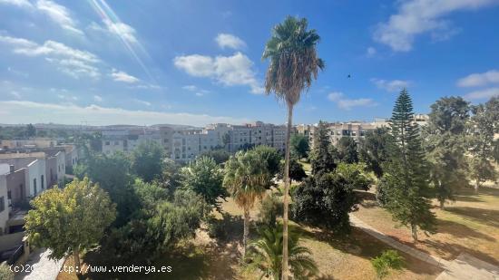 ESTUPENDO PISO BAJO CON PATIO DE 25 METROS EN AVDA.PUERTA DEL SUR AMPLIO Y LUMINOSO - CADIZ