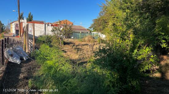 TERRENO SUELO en VENTA en MONTAÑANA - Camino Las Palomas (Ref.: 00730) - ZARAGOZA