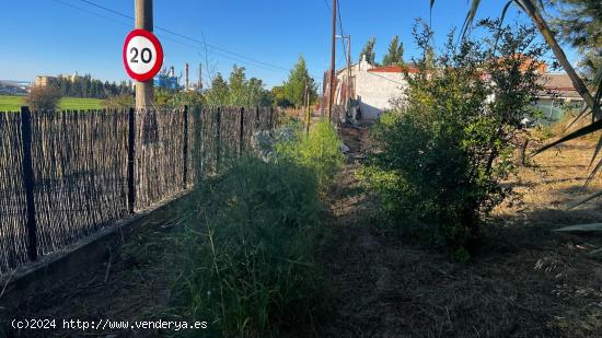 TERRENO SUELO en VENTA en MONTAÑANA - Camino Las Palomas (Ref.: 00730) - ZARAGOZA