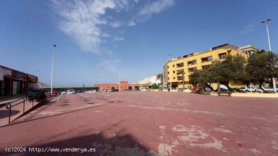 ¡FAMOSO LOCAL EN EL MEDANO EN TRASPASO! - SANTA CRUZ DE TENERIFE