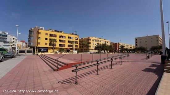 ¡FAMOSO LOCAL EN EL MEDANO EN TRASPASO! - SANTA CRUZ DE TENERIFE