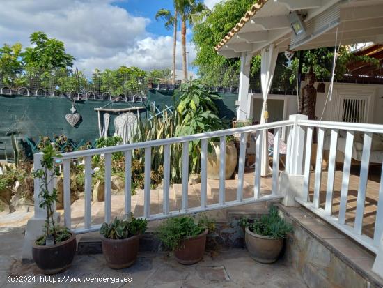 Bonito apartamento con jardin en Los Cristianos - SANTA CRUZ DE TENERIFE