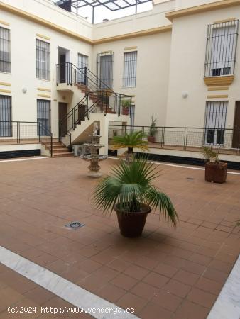 Estupendo apartamento en Castilleja de la Cuesta - SEVILLA