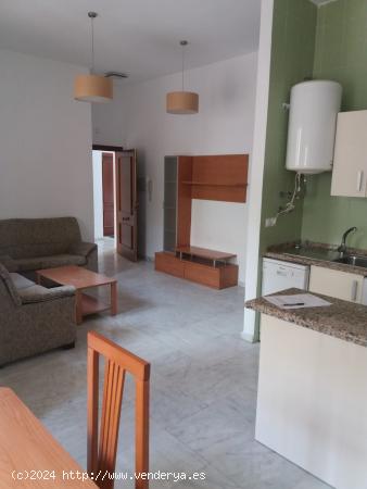 Estupendo apartamento en Castilleja de la Cuesta - SEVILLA