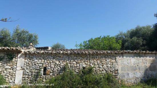 Finca Rustica con mucho terreno campanet - BALEARES