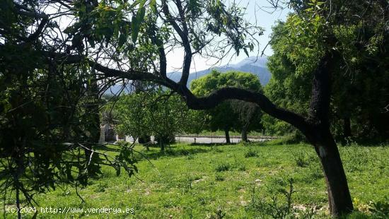 Finca Rustica con mucho terreno campanet - BALEARES