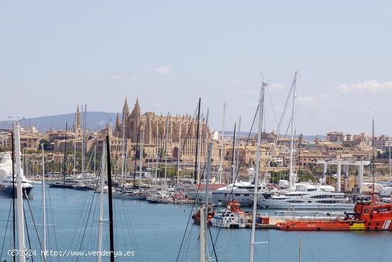  VENTA DE PISO EN EL PASEO MARITIMO DE PALMA DE MALLORCA - BALEARES 