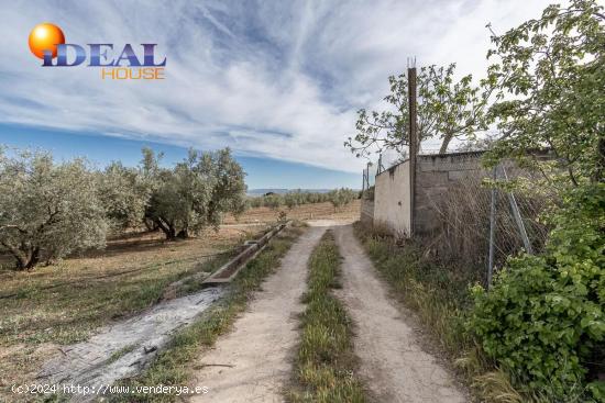 MAGNÍFICA PARCELA CERCANA A CTRA. DE URB. EL TORREÓN - GRANADA