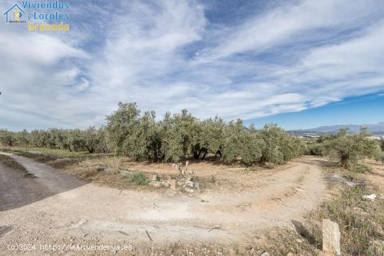 MAGNÍFICA PARCELA CERCANA A CTRA. DE URB. EL TORREÓN - GRANADA