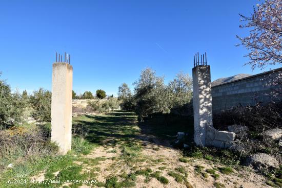 PARCELA RÚSTICA EN COGOLLOS DE LA VEGA - GRANADA