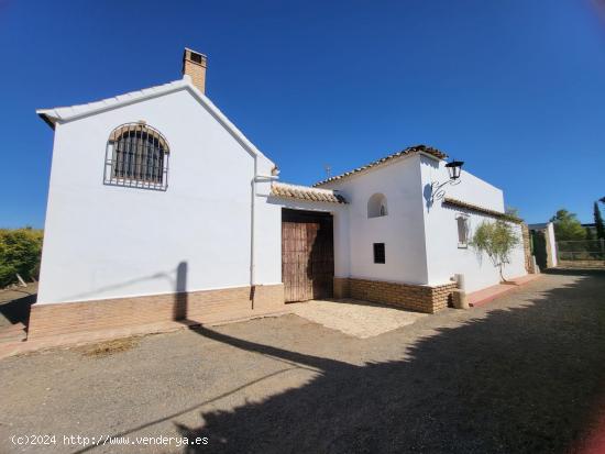 Se vende cortijo en Antequera - MALAGA