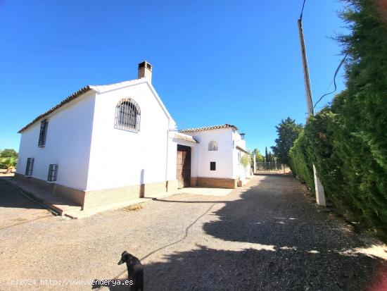 Se vende cortijo en Antequera - MALAGA