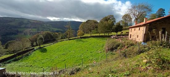 CASA CON ENCANTO UNIFAMILIAR O NEGOCIO EN PRECIOSO ENTORNO - CANTABRIA